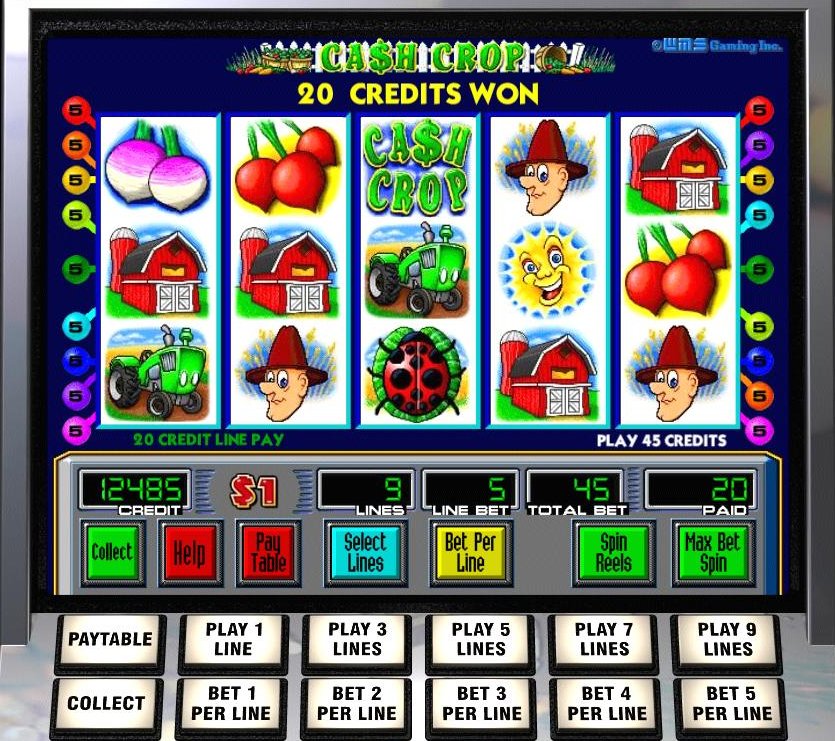 Lucky lady's charm deluxe casino slot