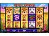 IGT Slots: Sumatran Storm